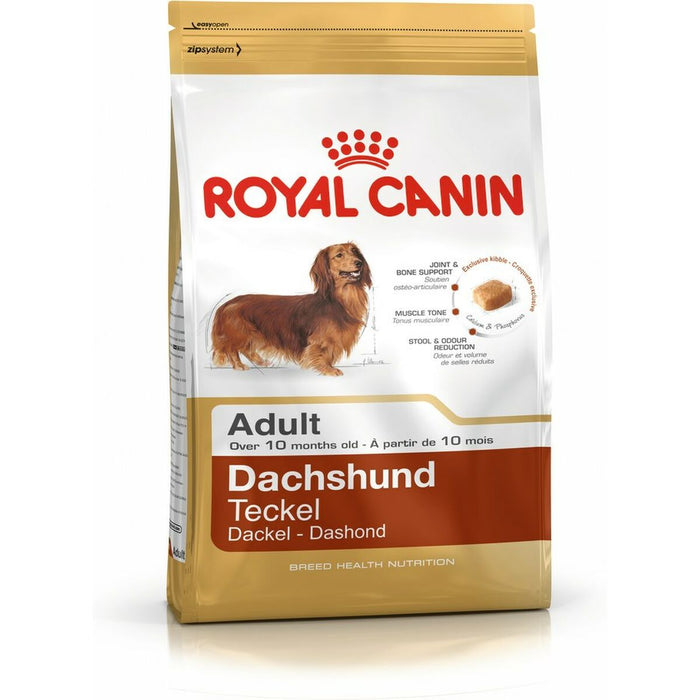 mangime Royal Canin Dachshund Adult Adulto Pollo Riso Uccelli 1,5 Kg