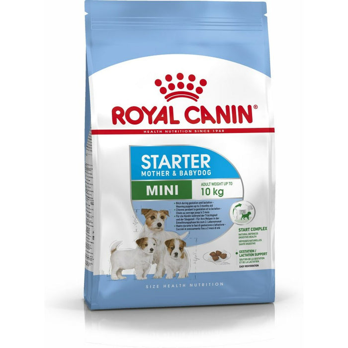 mangime Royal Canin Starter Mother And Babydog Adulto Pollo Uccelli 1 kg