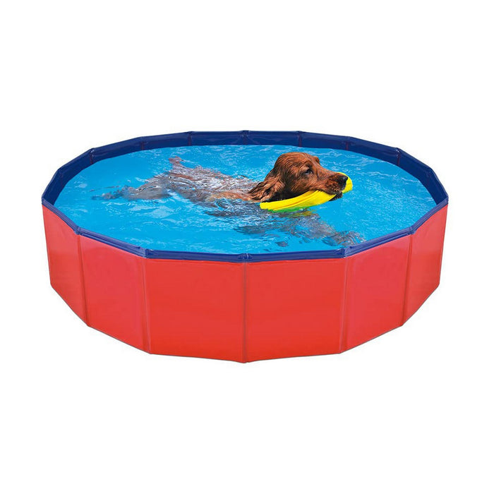 Piscina Smontabile Nayeco 120 x 30 cm Cane