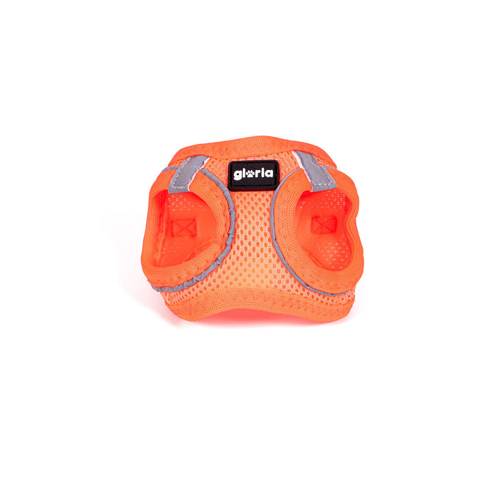 Imbracatura per Cani Gloria Trek Star 24-26 cm 28-28,6 cm Arancio XXS