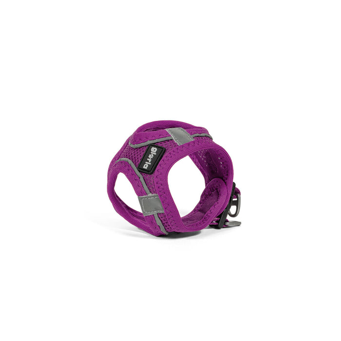 Imbracatura per Cani Gloria Trek Star 24-26 cm 28-28,6 cm Viola XXS