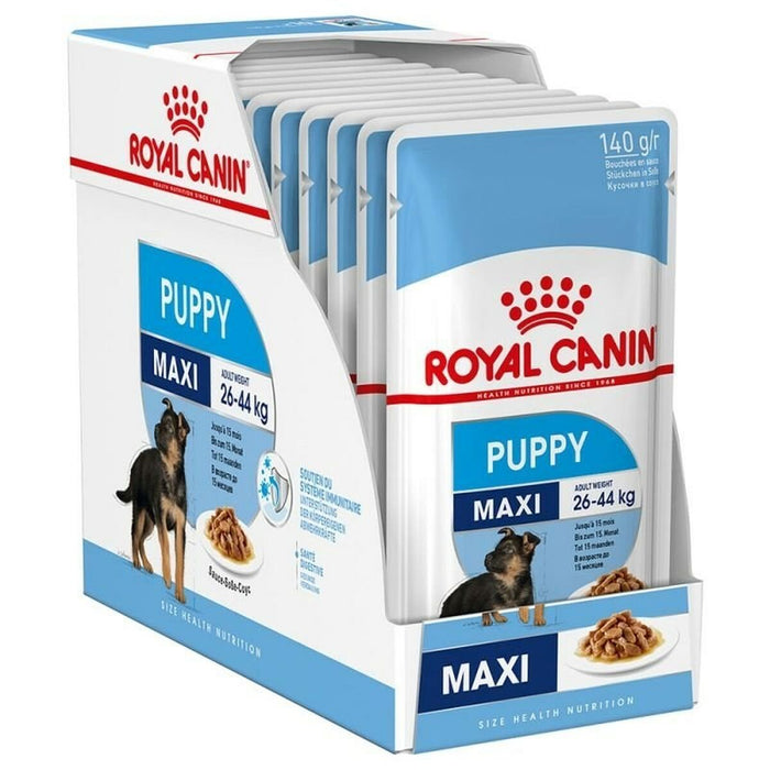 Cibo umido Royal Canin Maxi Puppy 10 x 140 g