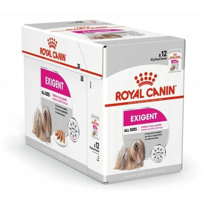 Cibo umido Royal Canin Exigent Carne 12 x 85 g